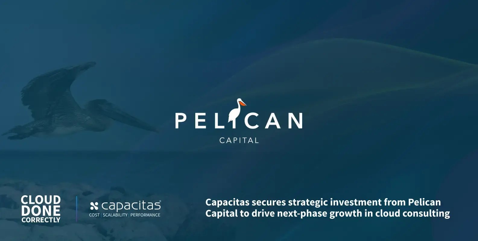 Pelican-Graphic